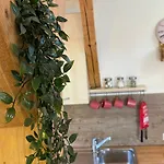 Appartement Haus Mit Garten Und Kamin Oy-Mittelberg