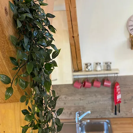 Apartment Haus Mit Garten Und Kamin Oy-Mittelberg